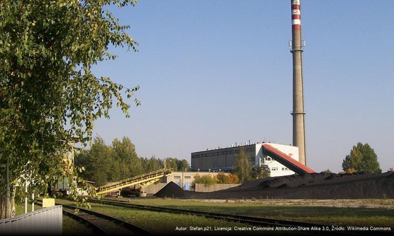 B onie Wielu Wieluniak