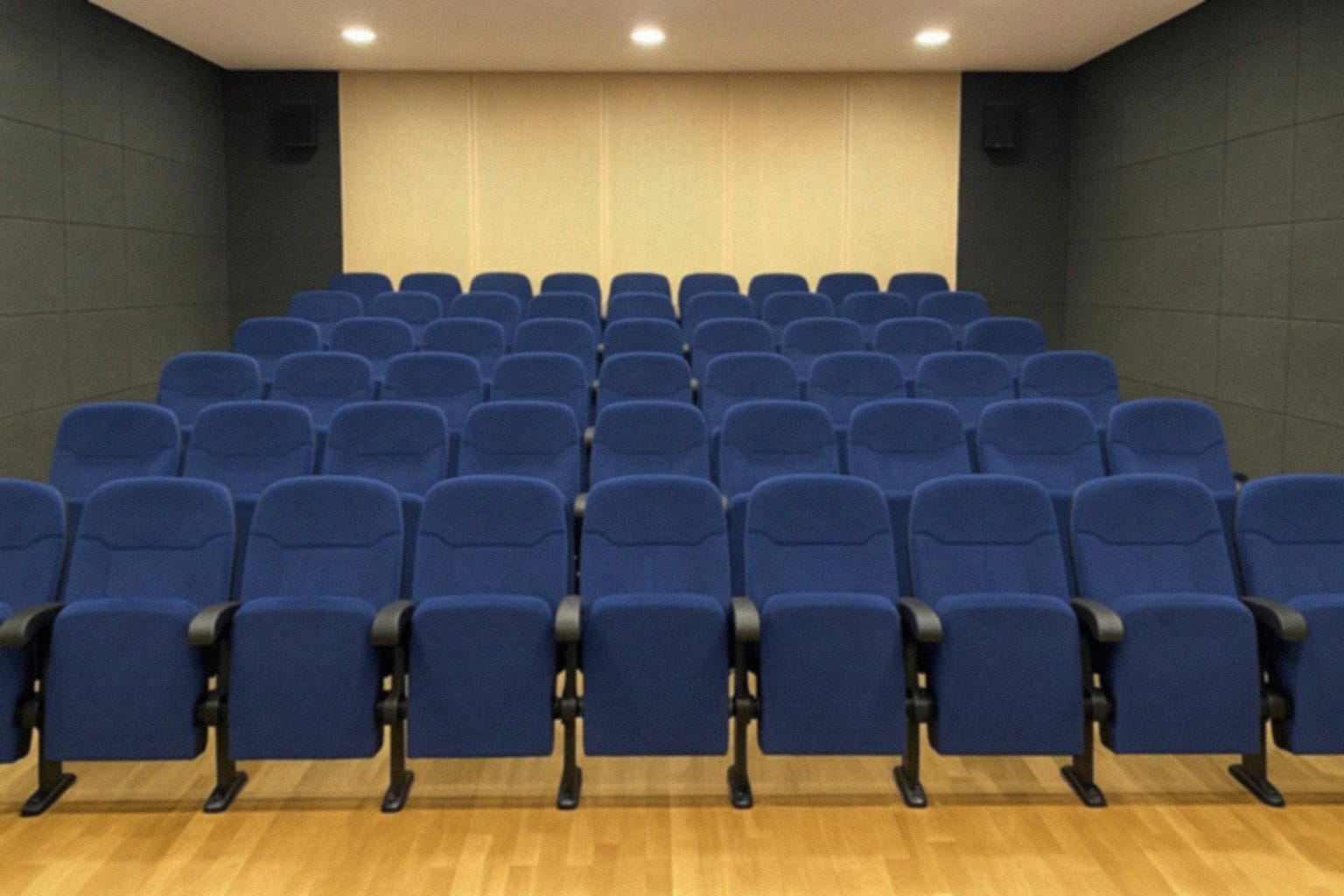 Koncercie zespołu SBB w Kino-Teatrze Syrena