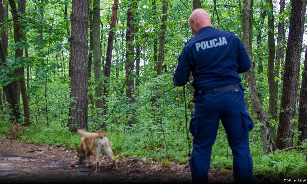 Bezpieczeństwo podczas odwiedzin grobów w okresie Wszystkich Świętych