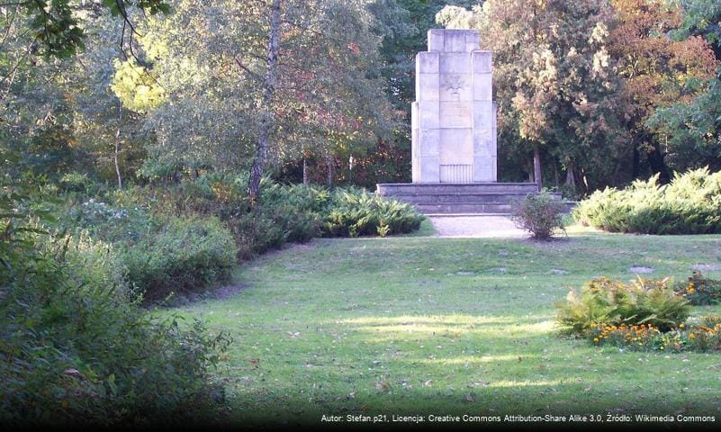 Podszubienice Wieluniak