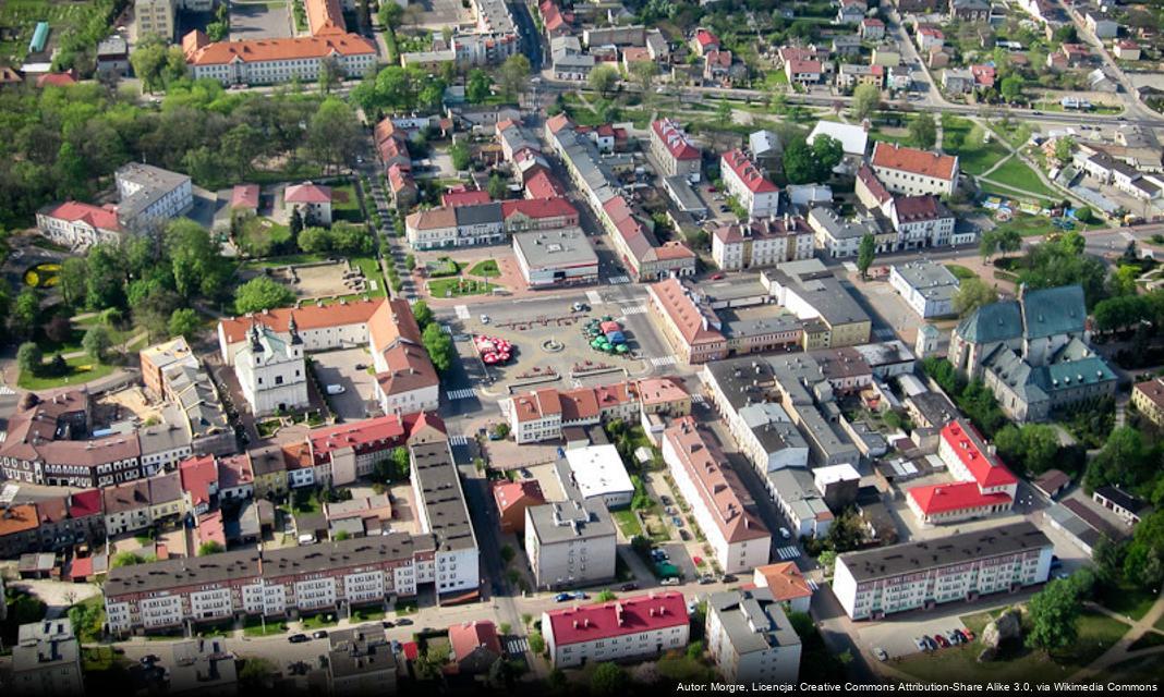 Nowe domki dla wolno żyjących kotów w gminie Wieluń